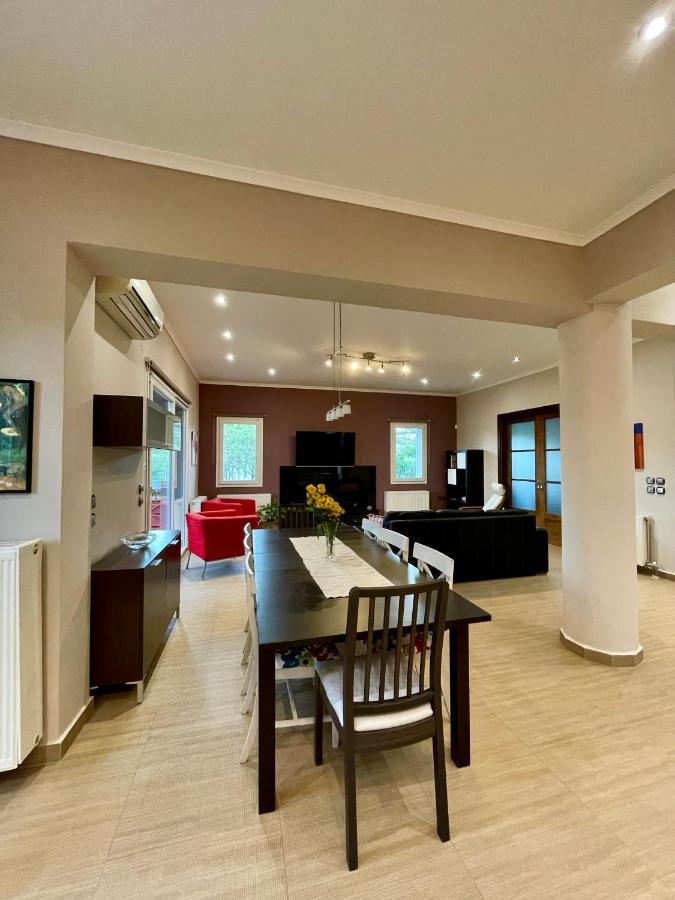 Villa Apollon Paian à Lefkáda Extérieur photo
